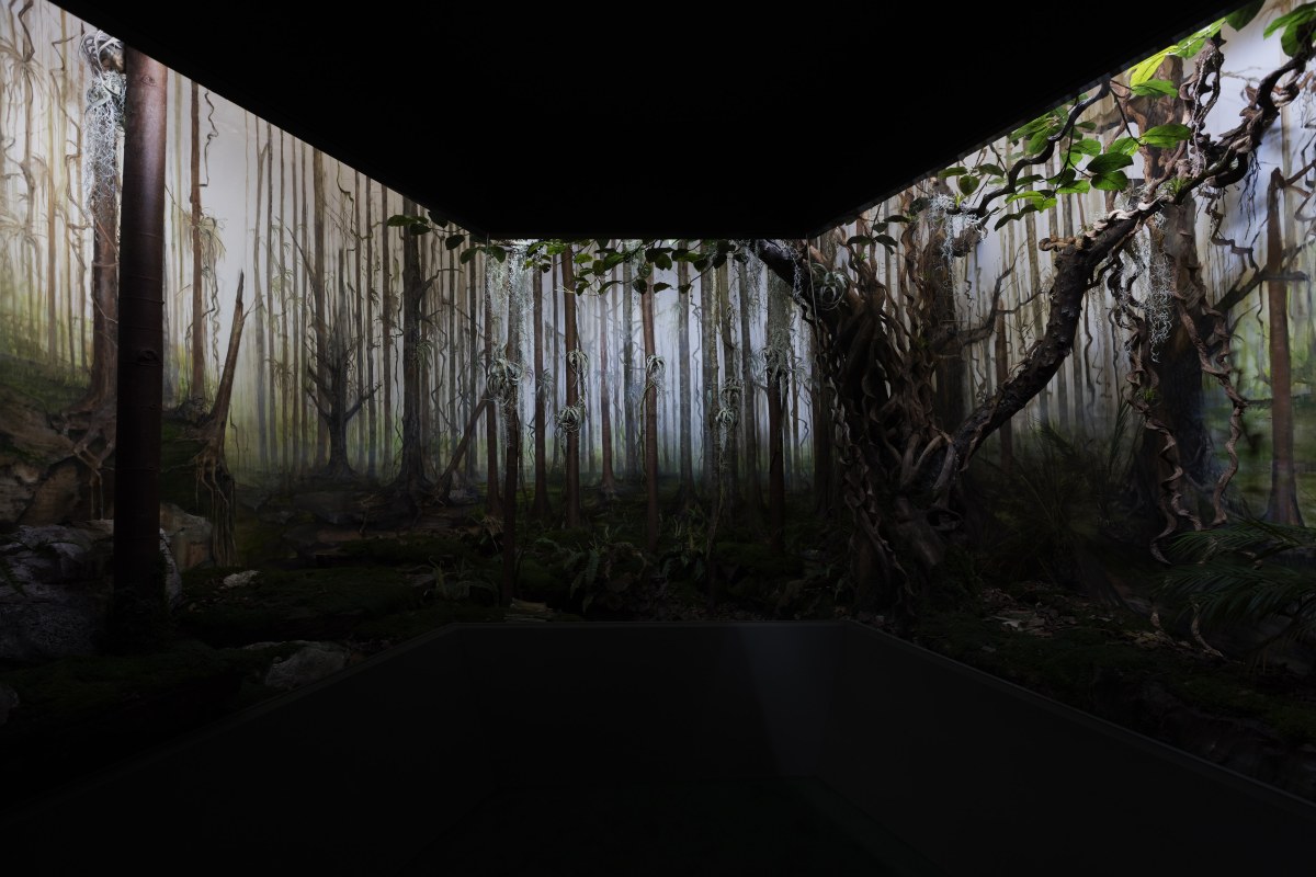 Infinite Garden, from Giverny to Amazonia with Dominique Gonzalez-Foerster, Pierre Huyghe, Philippe Parreno, and Daniel Steegmann Mangrané