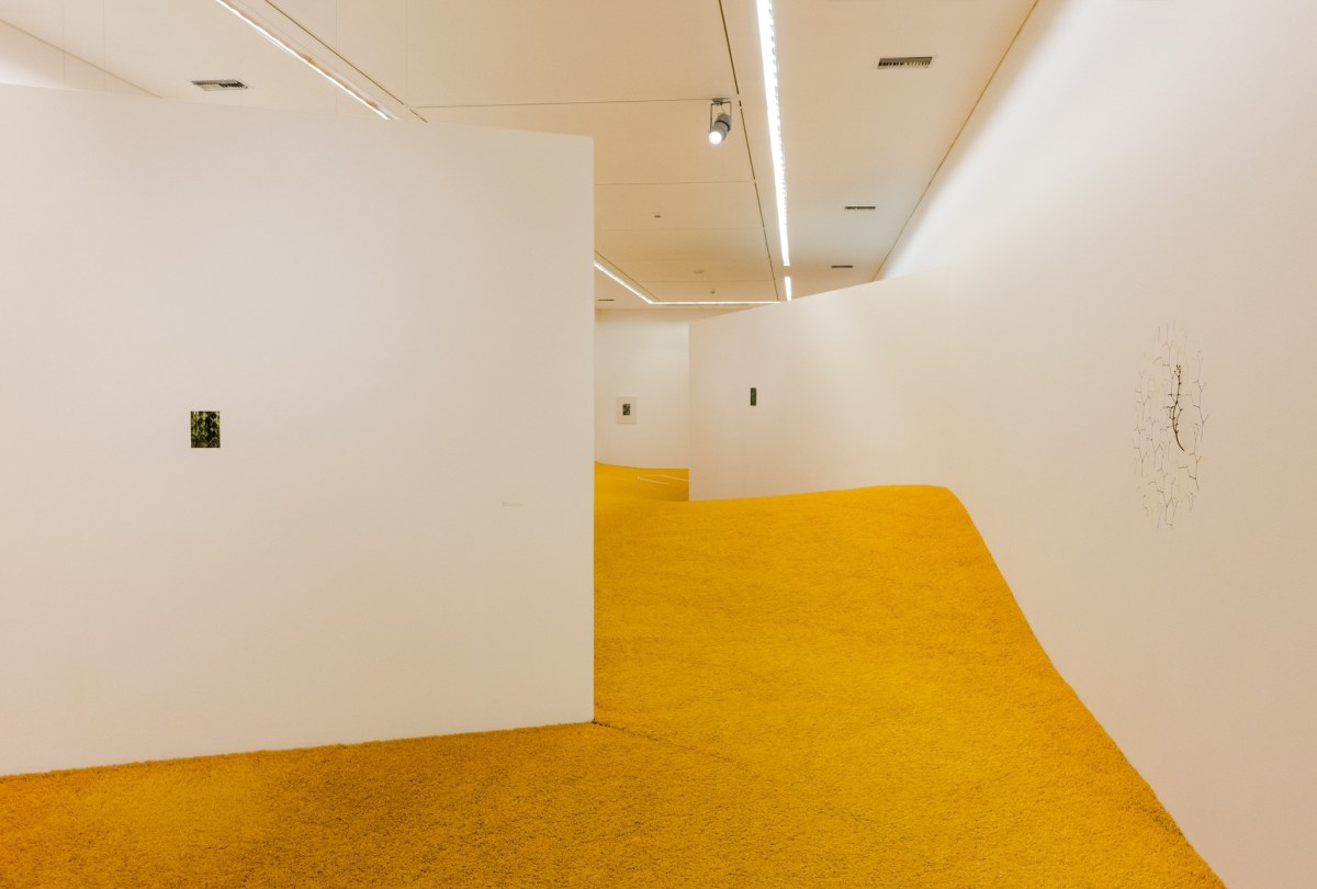 (Paisaje de posibilidades) Daniel Steegmann Mangrané