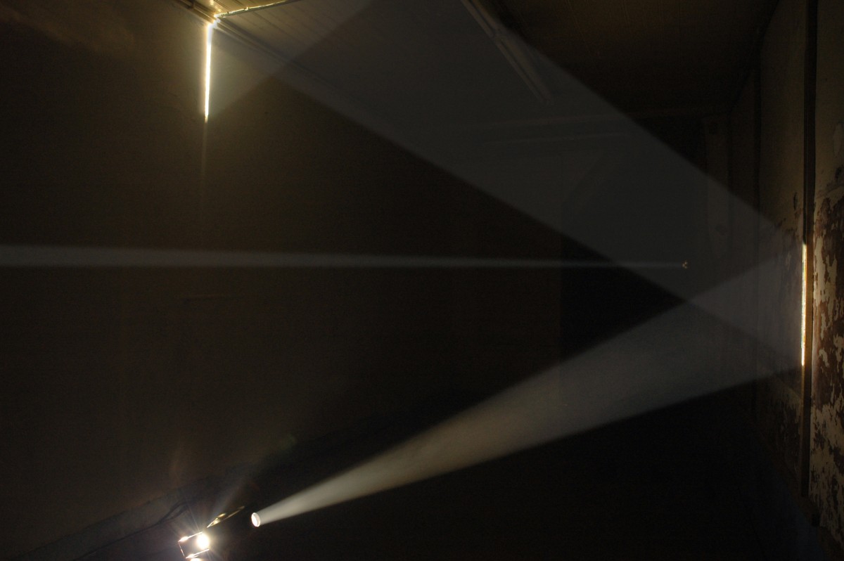 Bicho de nariz delicado Daniel Steegmann Mangrané