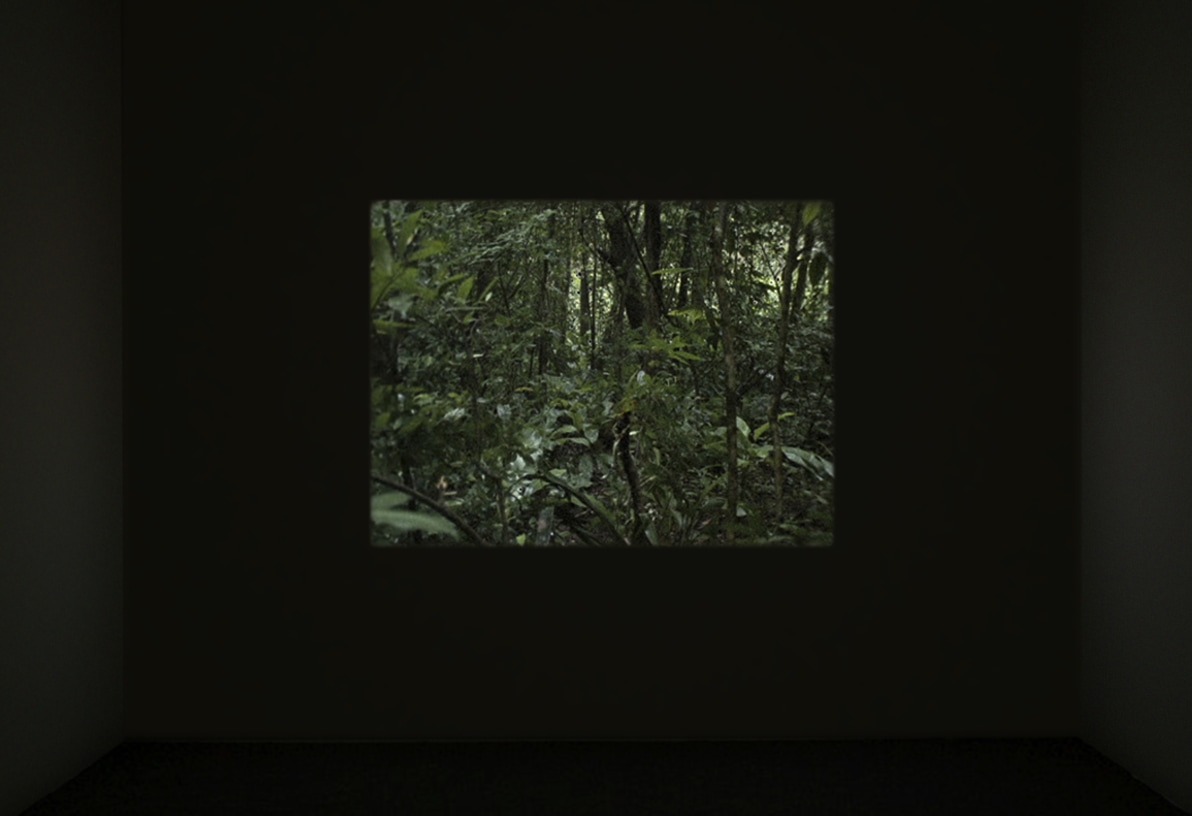 The Imminence of Poetics with Daniel Steegmann Mangrané