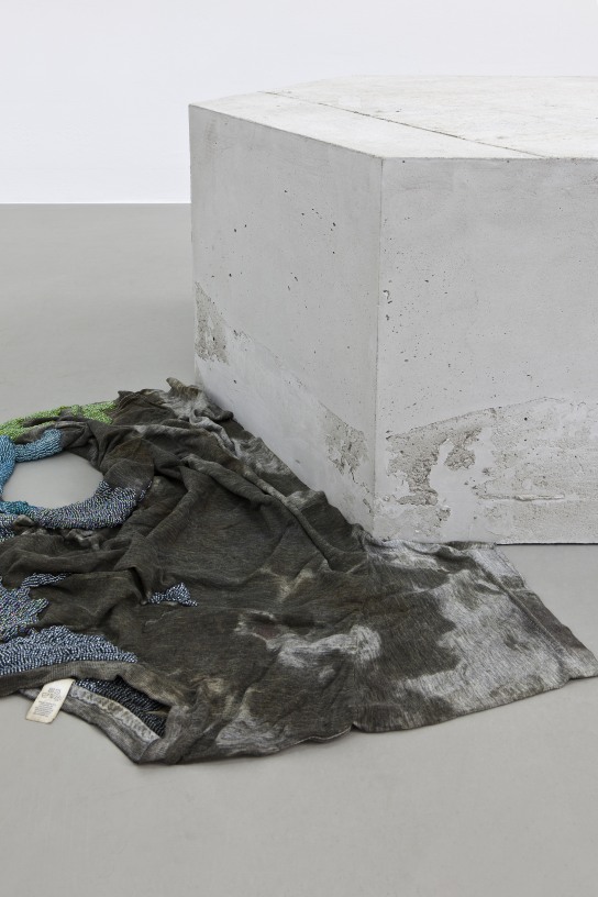 NGORONGORO II with Isa Melsheimer and Anri Sala