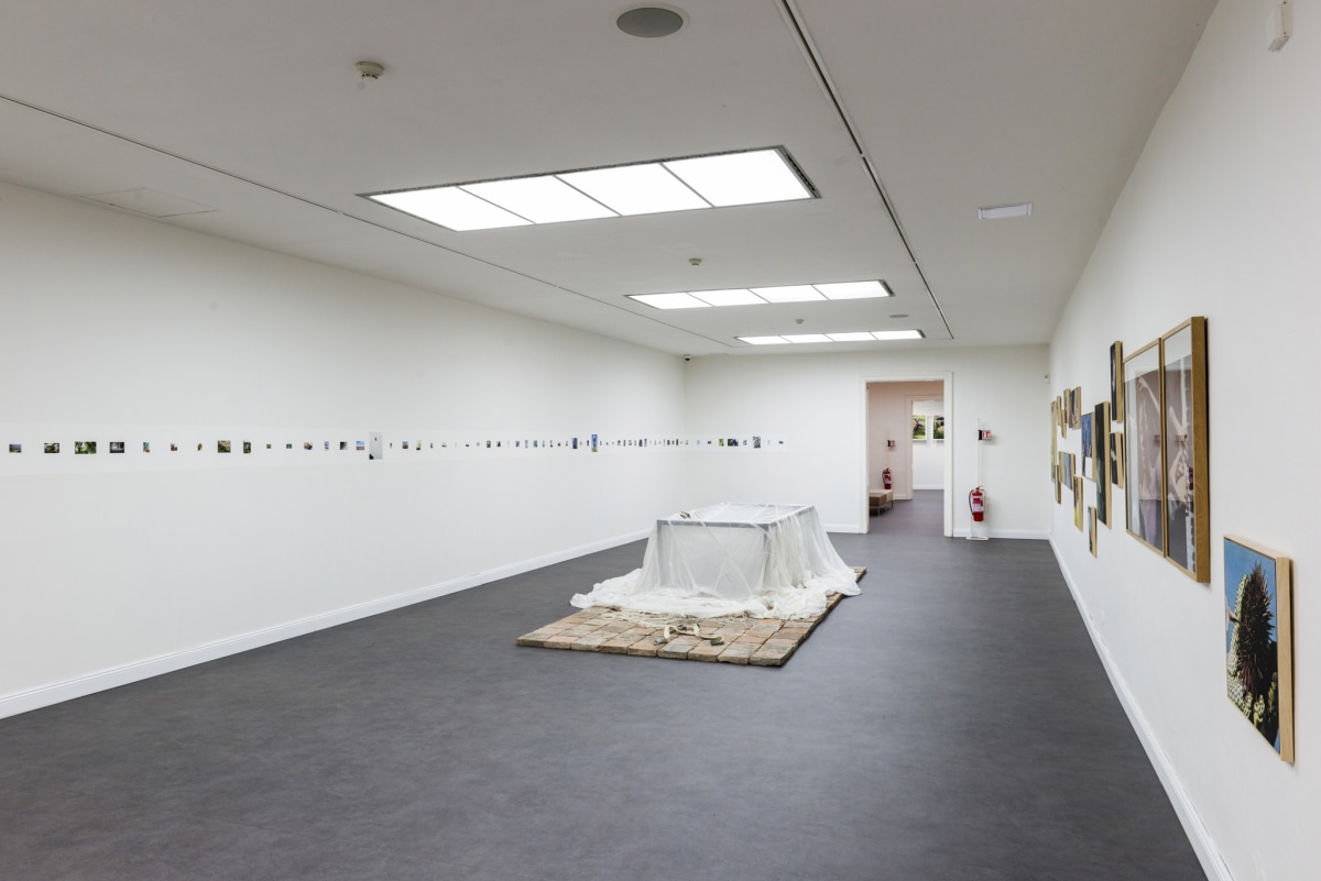 Useful Photography. Photography in Contemporary Slovak Art with Roman Ondak