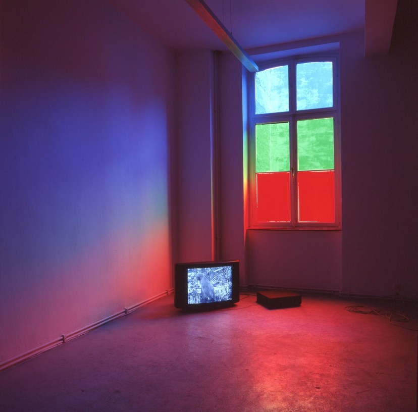 Crayons und Moluccan Cacatoo Molly numbers 1 through 10 Diana Thater