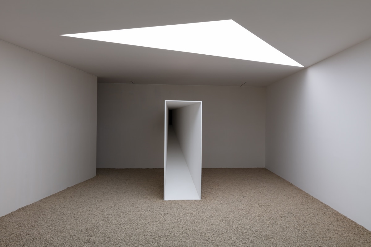 Fog Dog Daniel Steegmann Mangrané