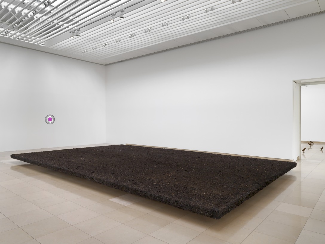 becoming soil Ugo Rondinone