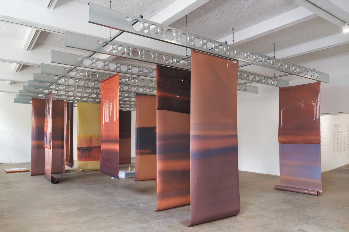 In Cascades Lotus L. Kang