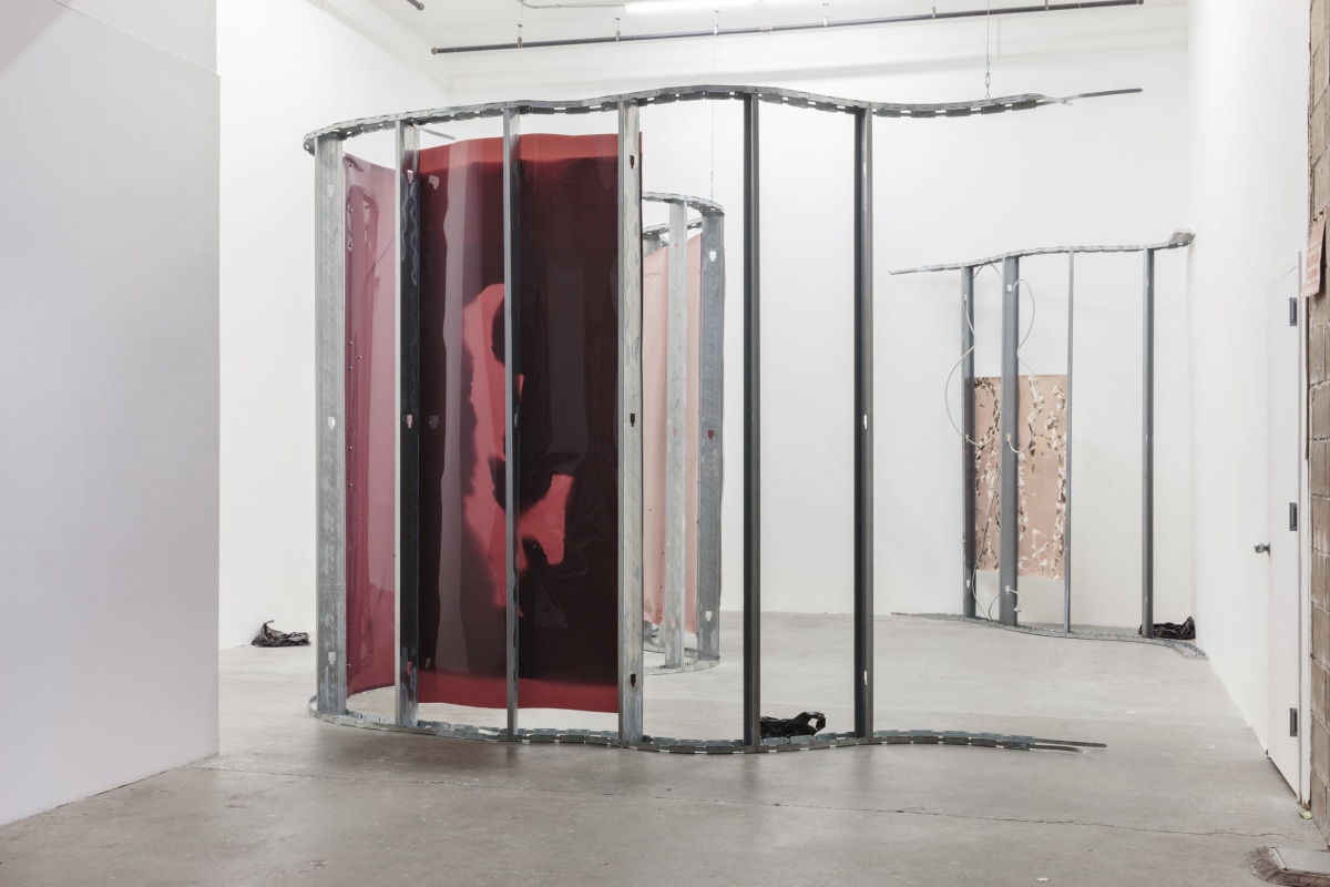 Channeller Lotus L. Kang