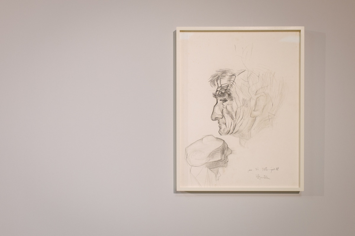 Tracing the Spiral: Stefan Bertalan in Timisoara Arterritory