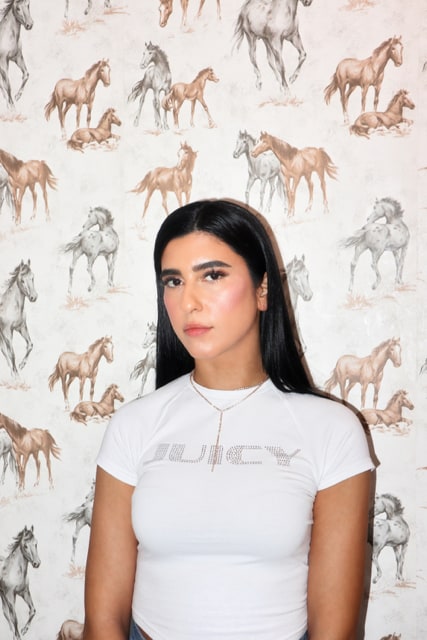 Ali oder nichts Frankfurter Allgemeine