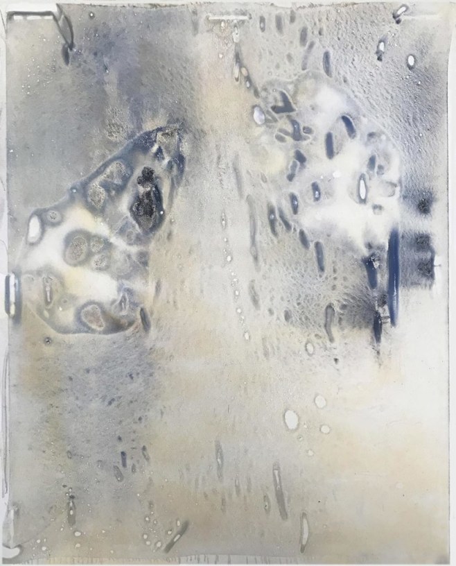 Anicka Yi’s paintings are living, autonomous creatures Text by Megan Hullander, Interview by Hans Ulrich Obrist