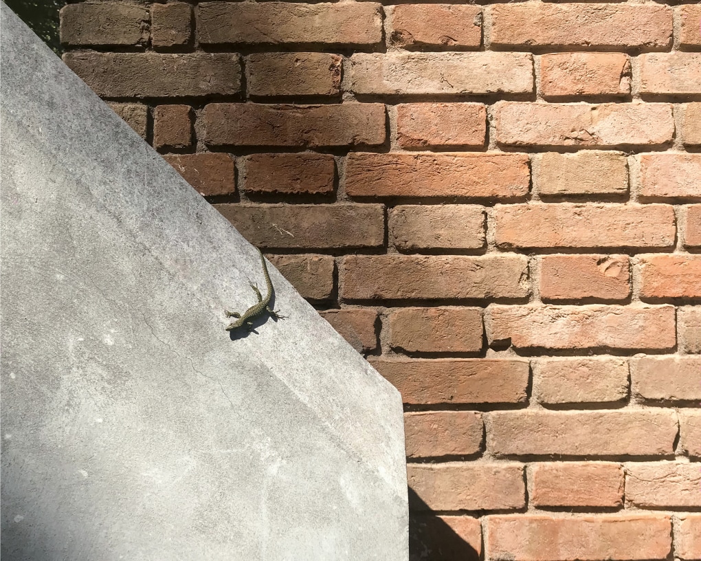 How to be a good neighbour NZZ Magazin