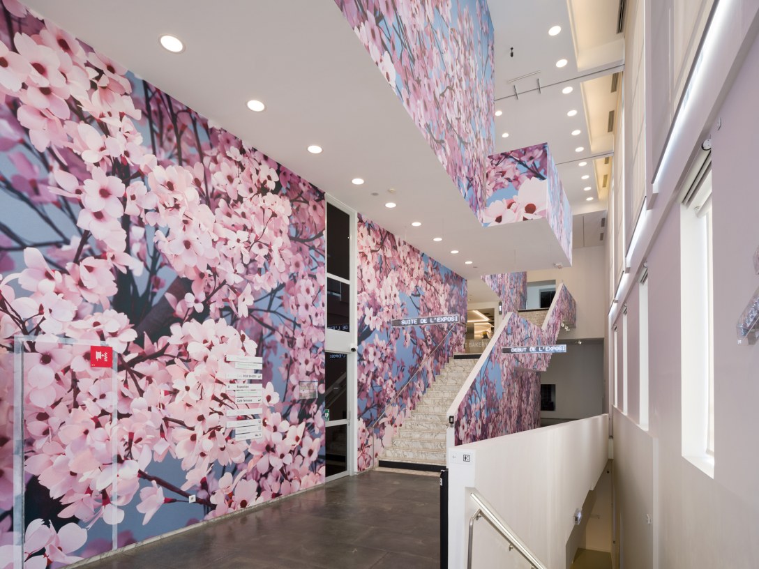 At the Jeu de Paume, Thomas Demand questions everyday life The Art Newspaper France