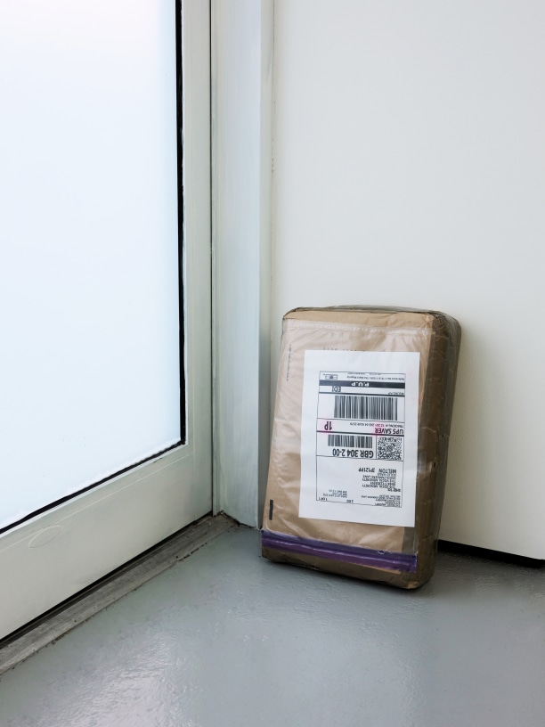 Ryan Gander at SOLID HAUS Online Exhibition