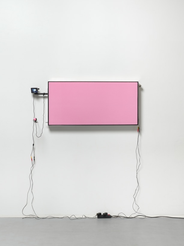 Spotlight: Julia Scher