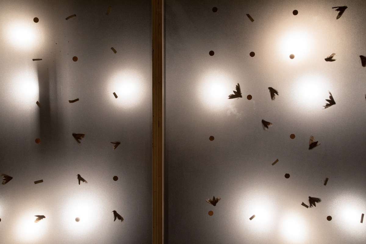 Gabriel Kuri at The Douglas Hyde Gallery The Douglas Hyde Gallery, Dublin