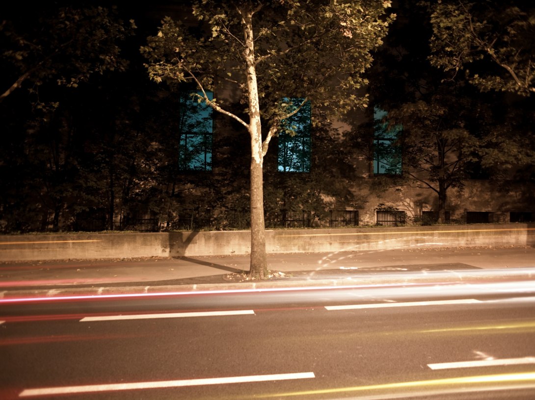 Philippe Parreno at Reborn Art Festival Oshika peninsula, Ajishima, Central Ishinomaki, and Matsushima Bay, Japan