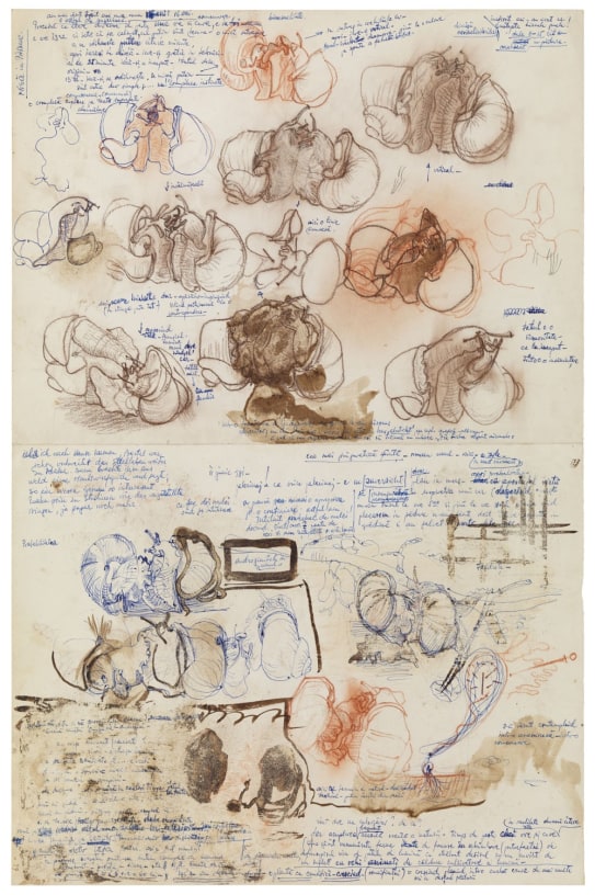 I Have Been Communicated Mysteries over the Phone: Ştefan Bertalan by Krzysztof Kościuczuk Mousse Magazine