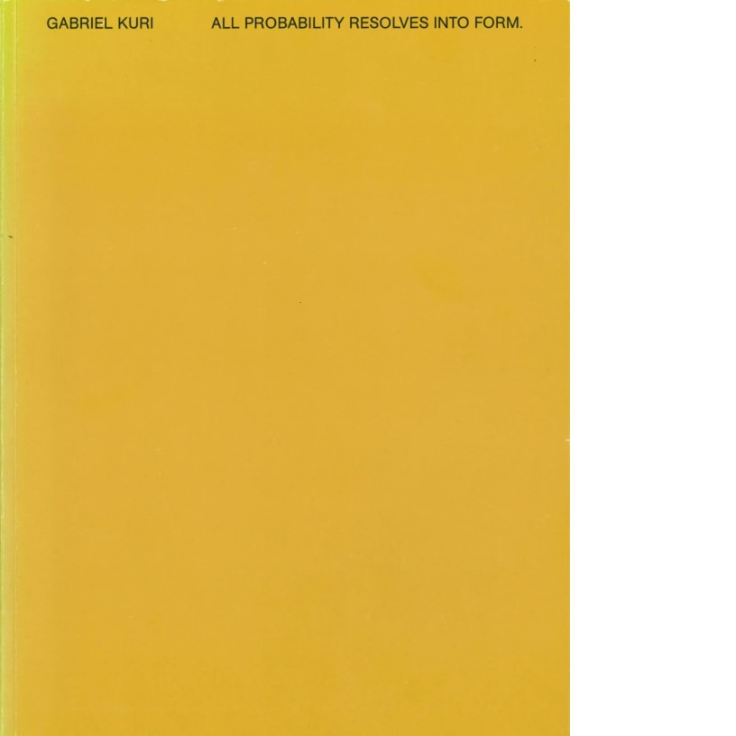 Gabriel Kuri All Probability resolves into Form.