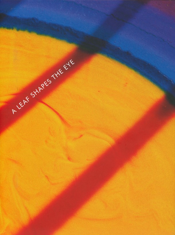 Daniel Steegmann Mangrané A Leaf Shapes the Eye