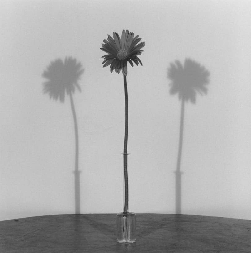 Group Exhibition Home (Very) Sweet Home