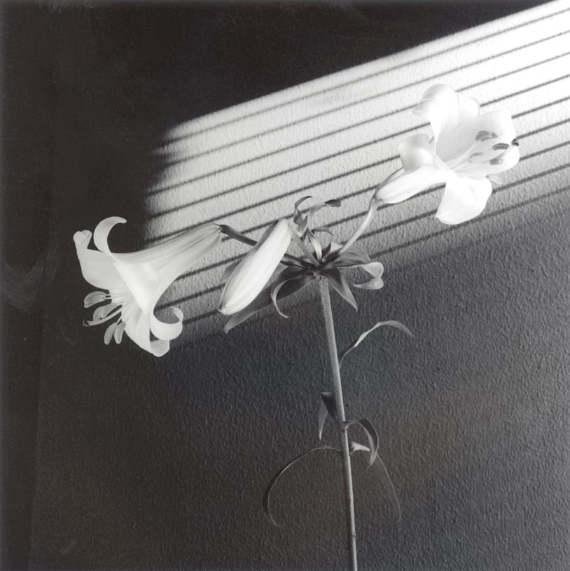 Group Exhibition Positions