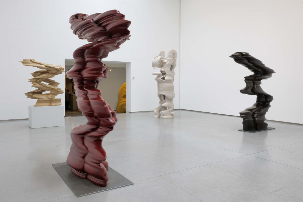 Tony Cragg, New Sculptures / Drawings, Paris Marais, 2009