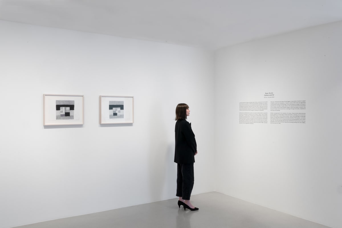 Sean Scully Carbon and Air