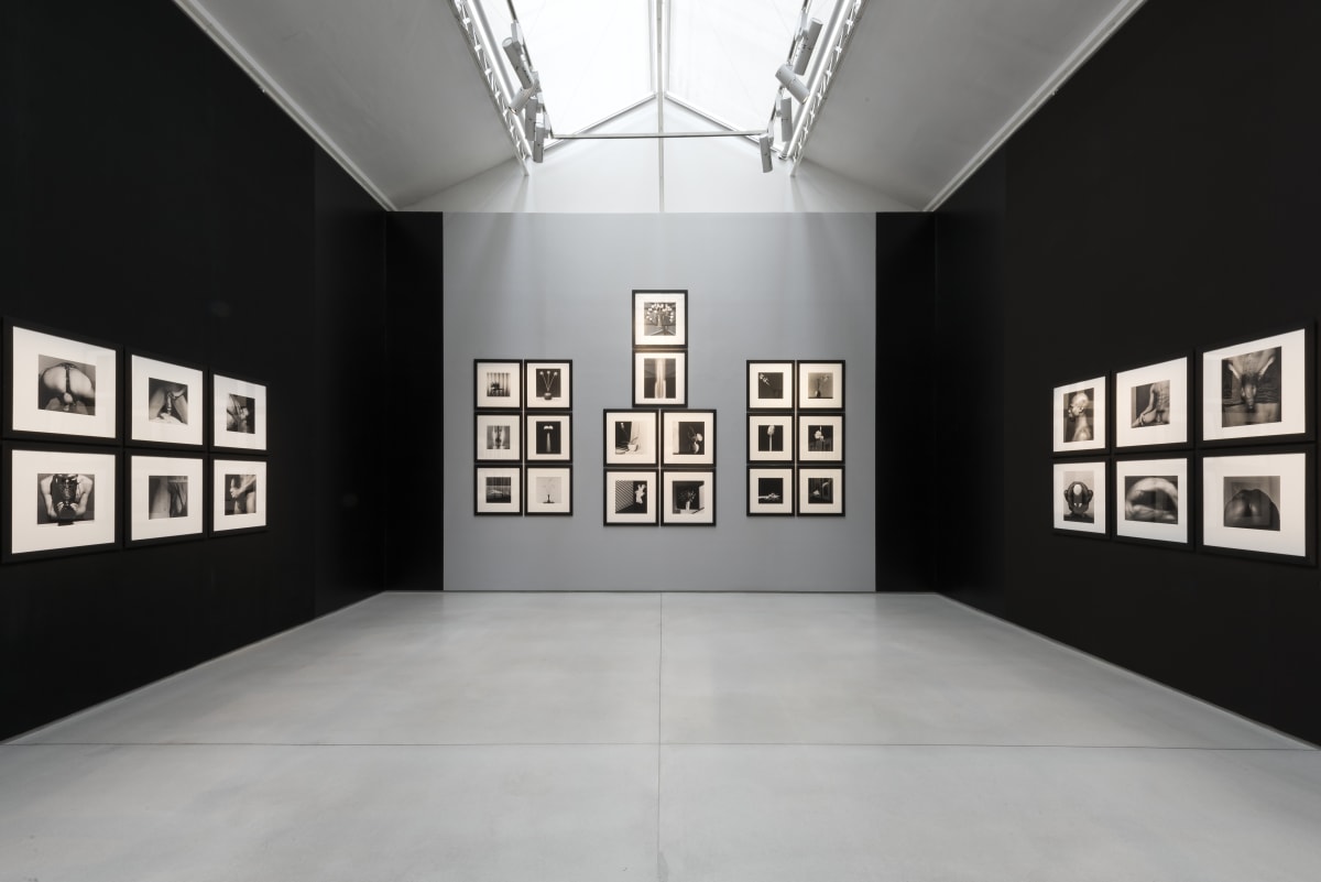 Robert Mapplethorpe: XYZ Curated by Peter Marino, Galerie Thaddaeus Ropac Paris Marais, 2016