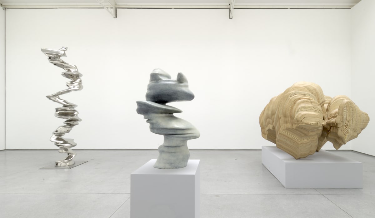 Tony Cragg: New Works, Galerie Thaddaeus Ropac Paris Marais, 2005
