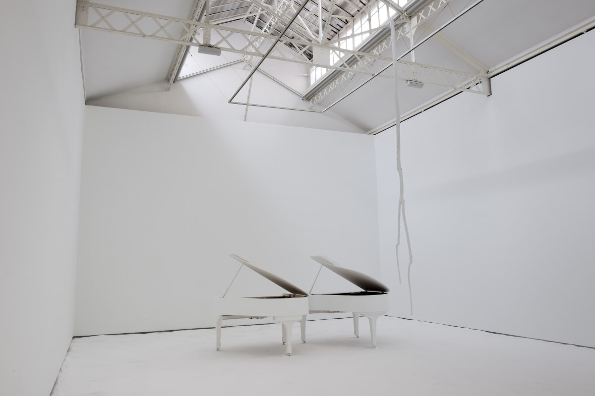 Terence Koh, Adansonias, Paris Marais, 2009