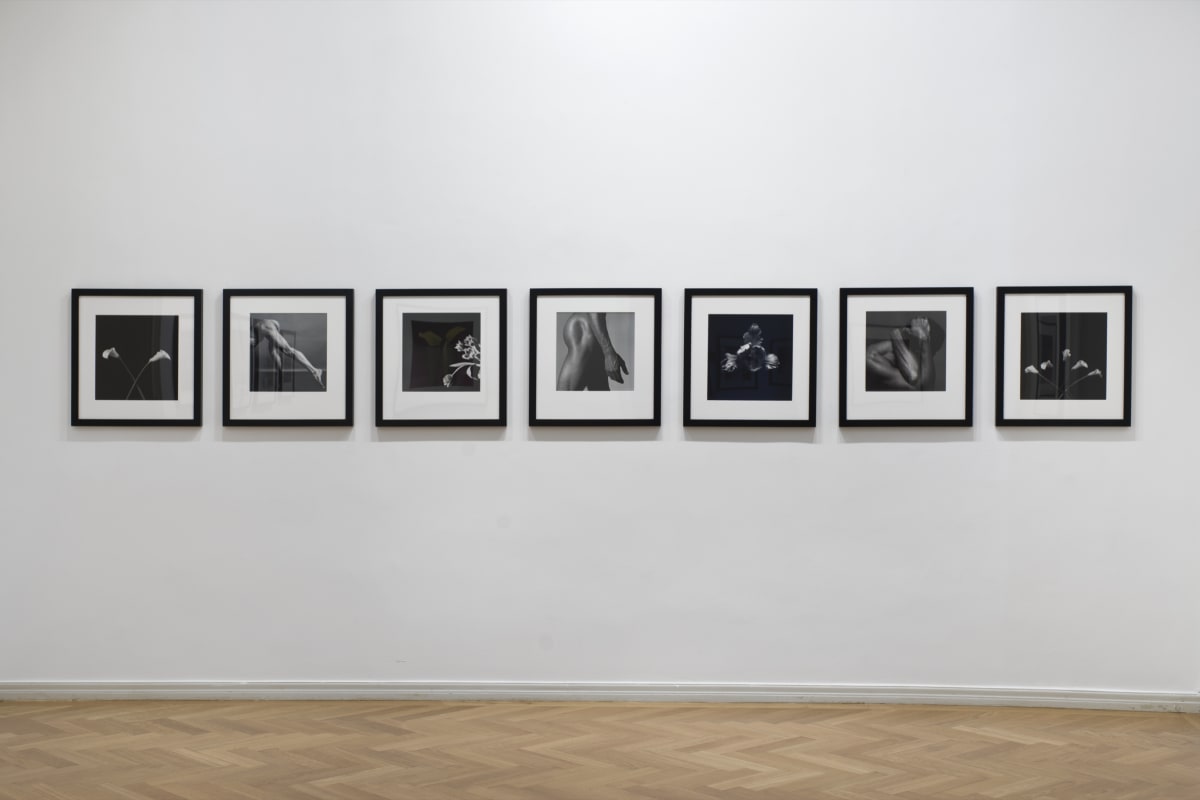 Robert Mapplethorpe Curated by Isabelle Huppert