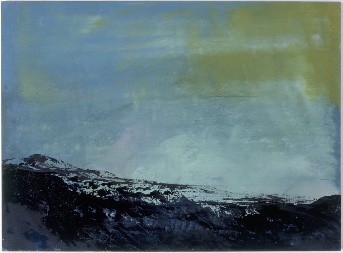 Hubert Scheibl: Committed to Memory, Galerie Thaddaeus Ropac Salzburg, 2006