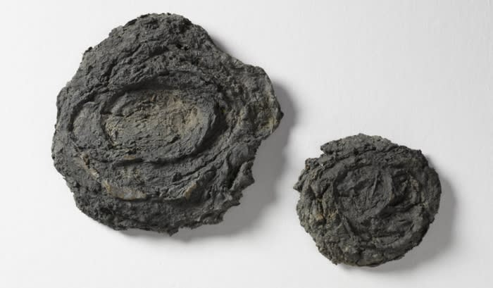 Not Vital ..., Auf Mist Wachsen Blumen