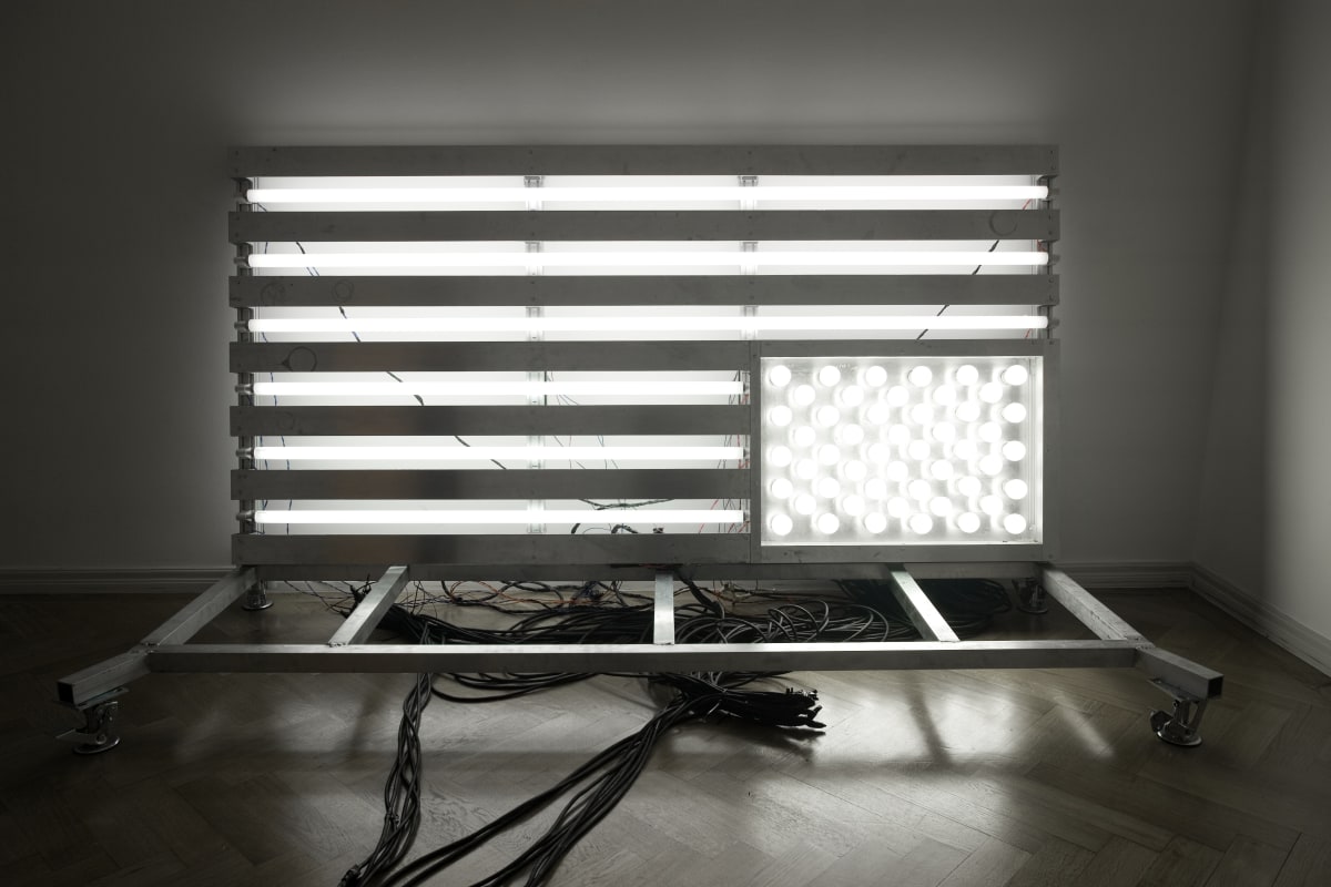 Banks Violette, Galerie Thaddaeus Ropac Salzburg, 2007