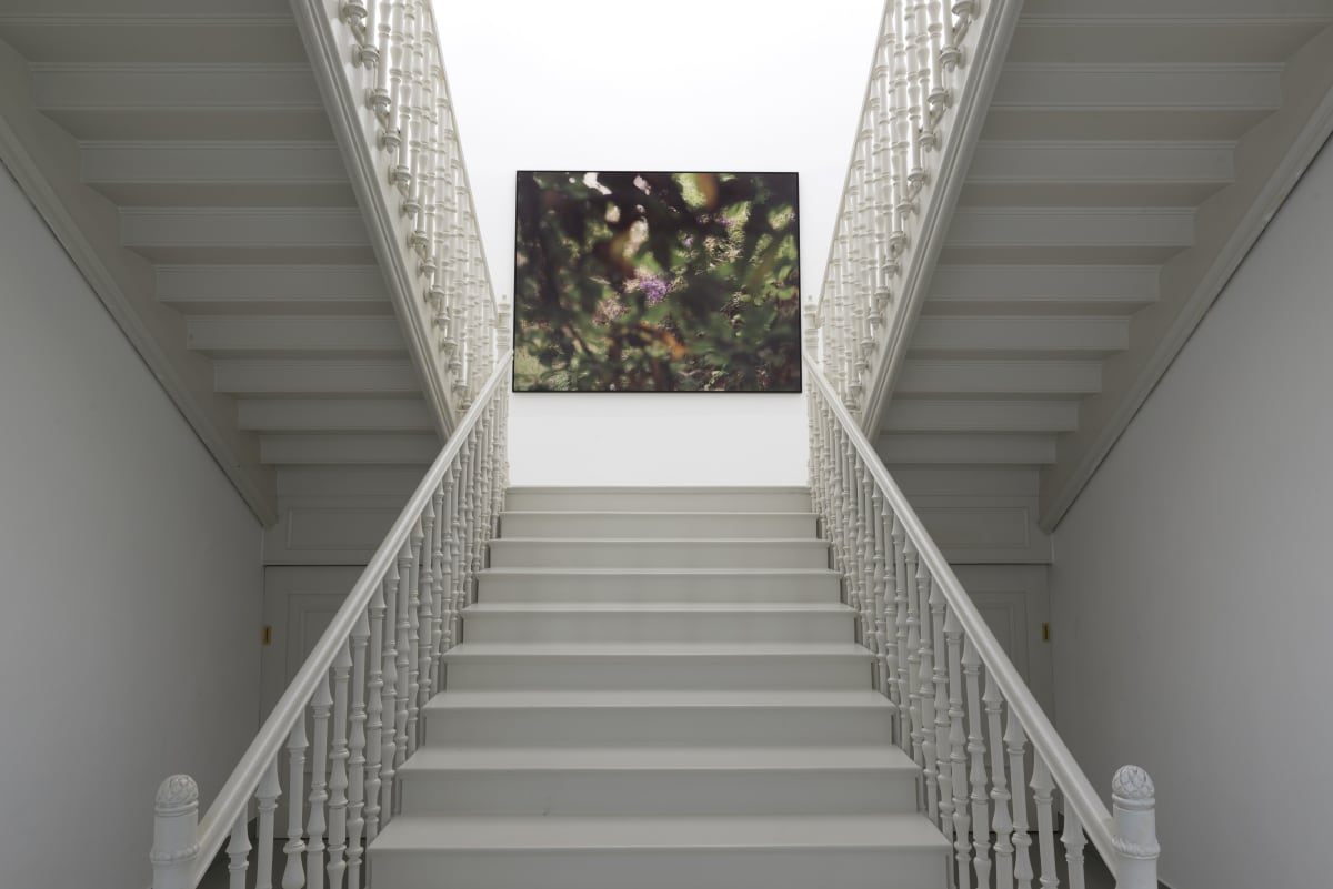 Elger Esser: Irides, Galerie Thaddaeus Ropac Salzburg, 2015
