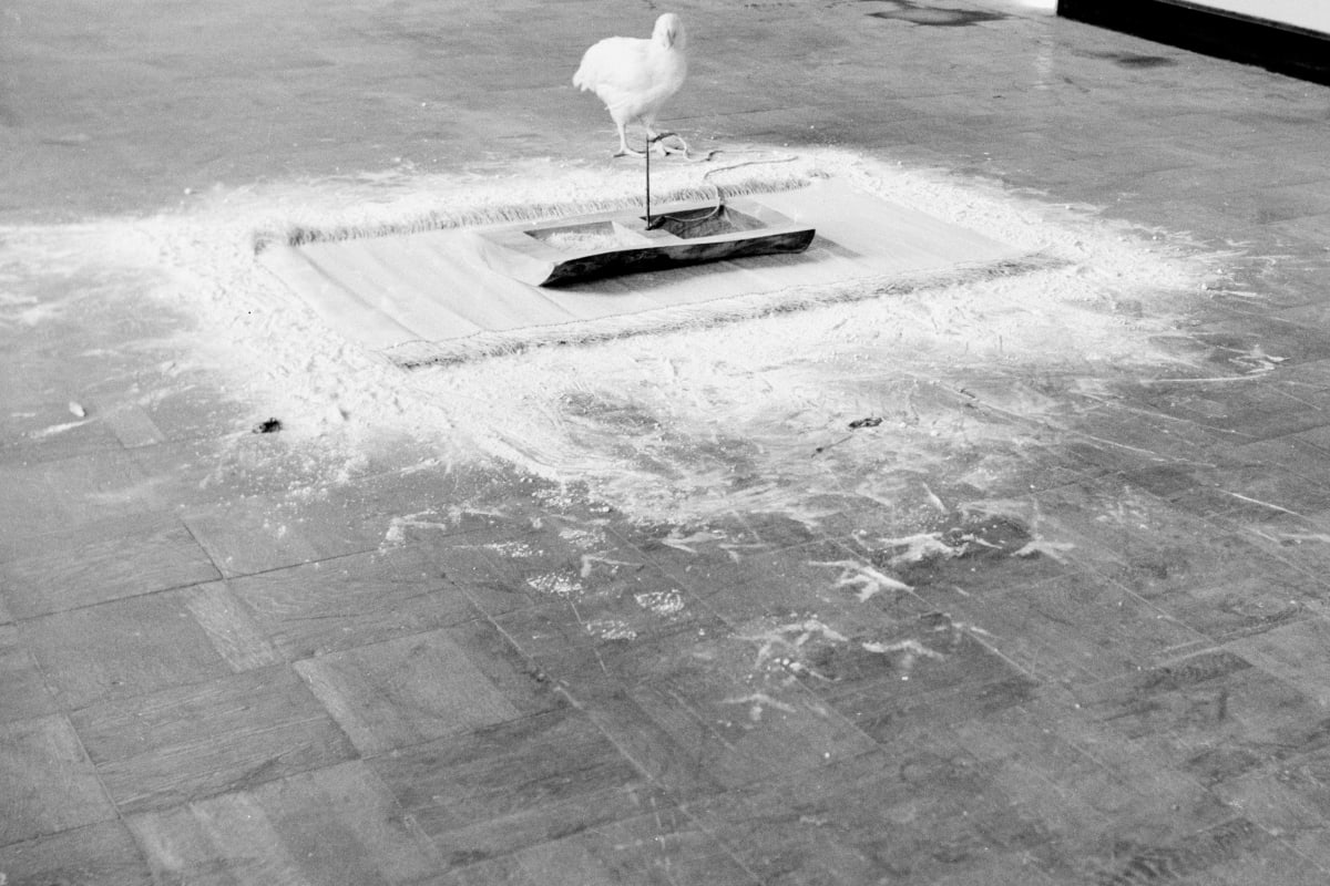 Lee Kang So Dwelling in Mist and Glow