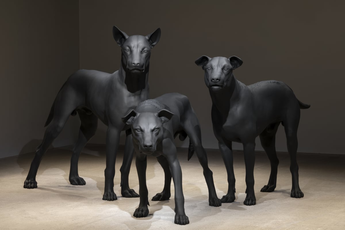 Ron Mueck: Encounter Solo exhibition at the Art Gallery of New South Wales