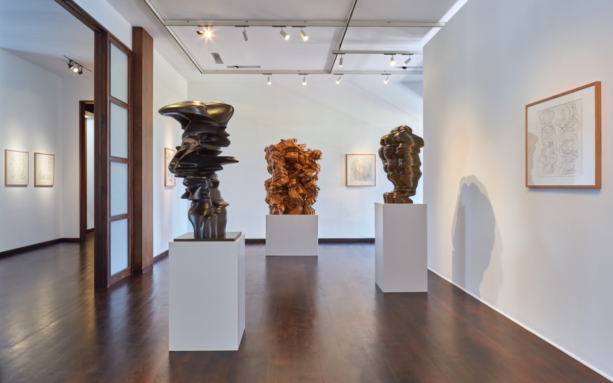 Master Sculptor Tony Cragg Opens a Captivating Solo Show at Windsor in Florida