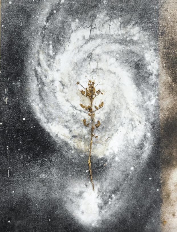 Anselm Kiefer and Tony Cragg demonstrate Van Gogh's influence In a group exhibition at the Fondation Vincent Van Gogh this...