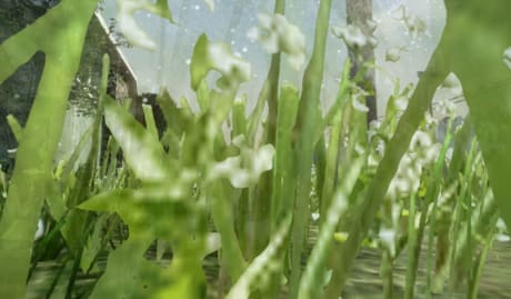 Harun Farocki Estate Retrospective