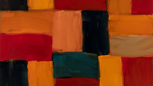 Sean Scully I am an Irishman and I love a good fight