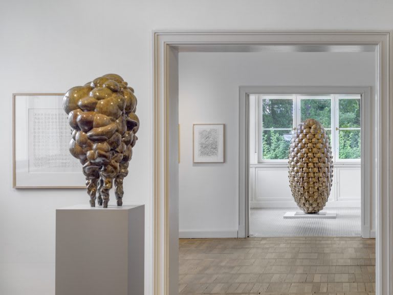 Tony Cragg Drawing as Continuum