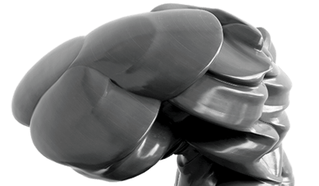 Tony Cragg Roots & Stones