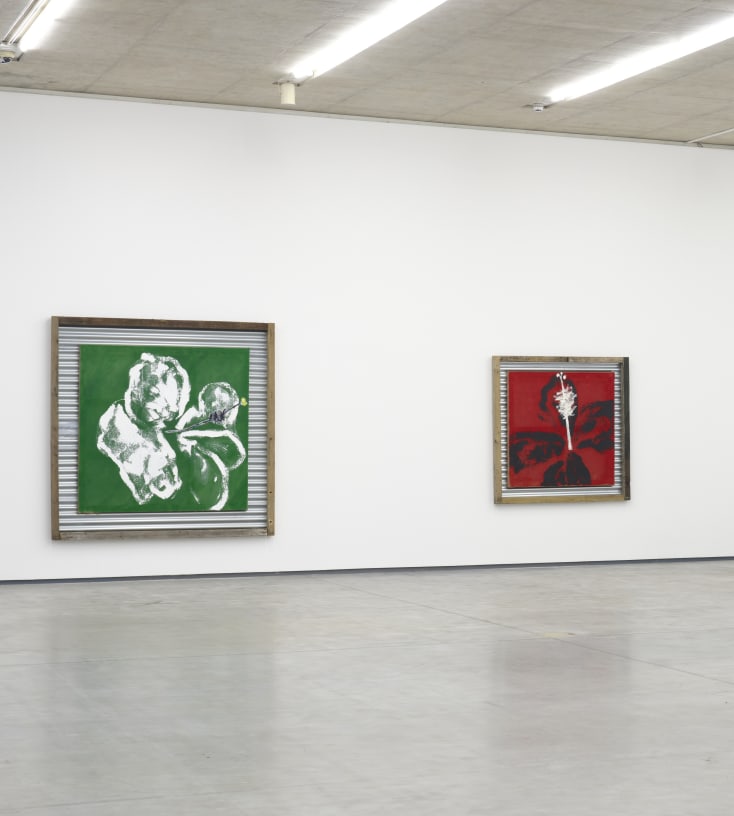 Alvaro Barrington & Robert Mapplethorpe: I see his blood upon the rose Group Exhibition at the MAC Belfast