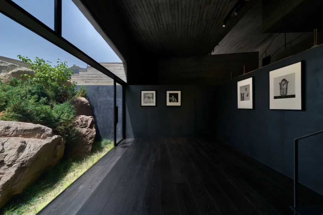 Follow Robert Mapplethorpe and ignite a light in the darkness