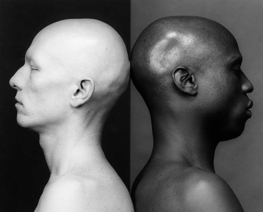 Robert Mapplethorpe for Helmut Lang – Artforum