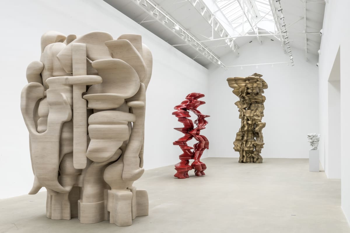Tony Cragg Talk & Book Signing