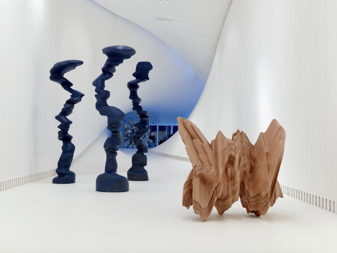 Tony Cragg MATERIAL IN MIND