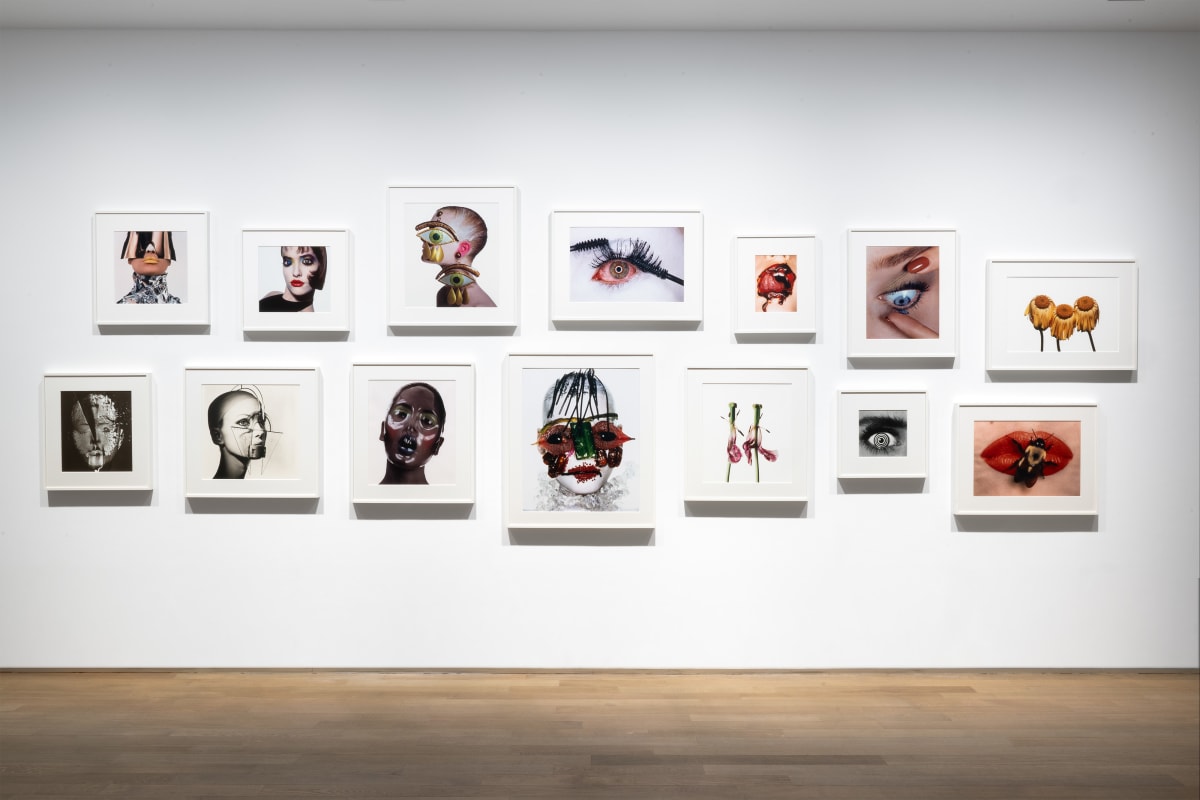 'Why should you go and see this Irving Penn exhibition curated by Tom Pecheux?'