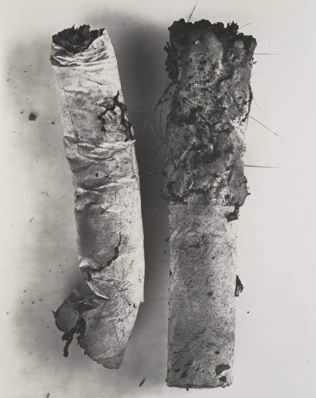 Irving Penn Acquisition of Irving Penn's Photographs